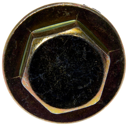 Dorman 090-038CD Oil Drain Plug Standard M12-1.25, Head Size 14