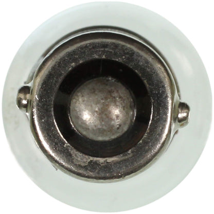 WAGNER BP1895 Wagner Lighting BP1895 Standard Multi-Purpose Light Bulb Card of 2