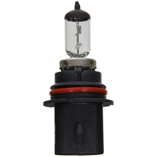 WAGNER BP9007 Wagner Lighting BP9007 Standard Multi-Purpose Light Bulb Card of 1