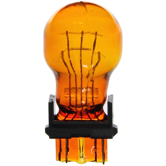 WAGNER BP3057NA Wagner Lighting BP3057NA Standard Multi-Purpose Light Bulb Card of 2
