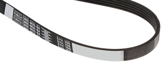 Motorcraft JK5291 Belt (P