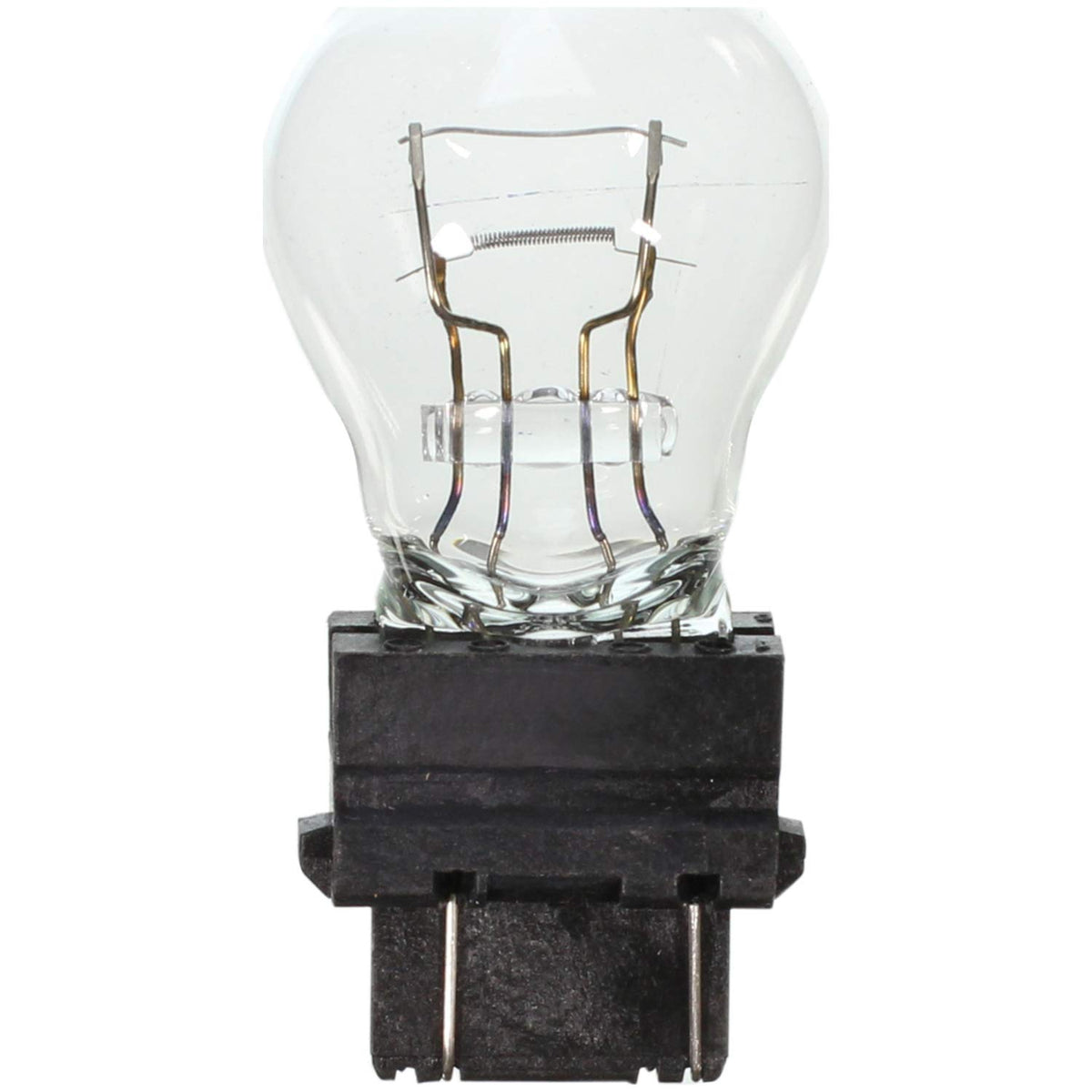 WAGNER 3357 Wagner Lighting 3357 Standard Multi-Purpose Light Bulb Box of 10