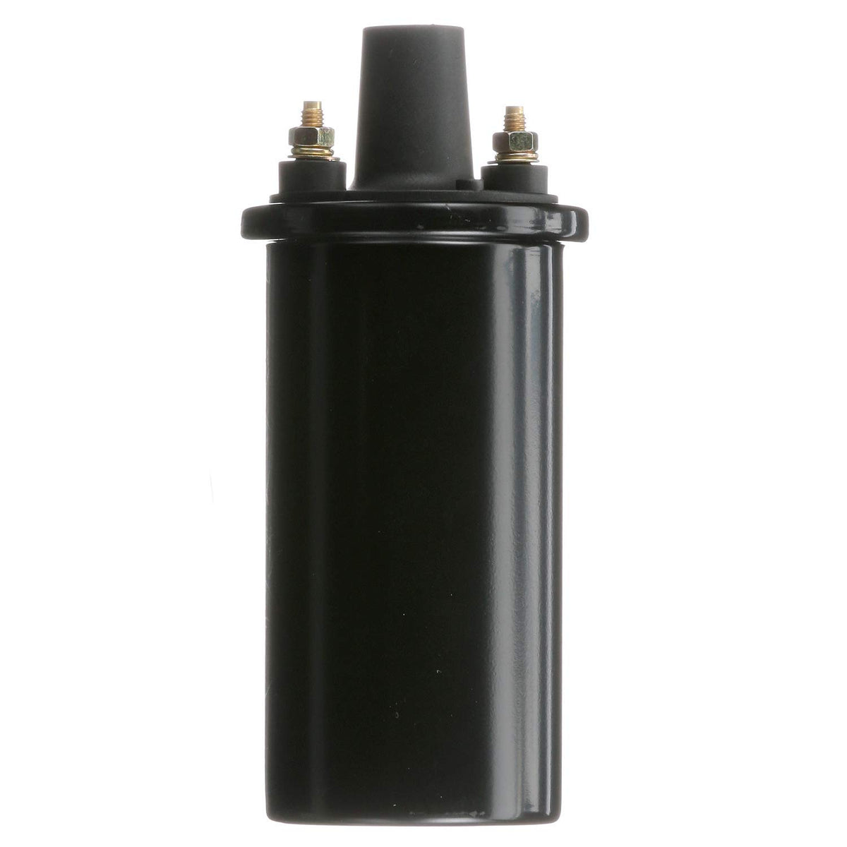 Delphi GN10339 IGNITION COIL