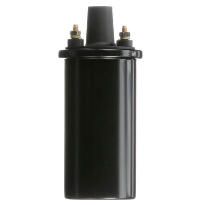 Delphi GN10339 IGNITION COIL