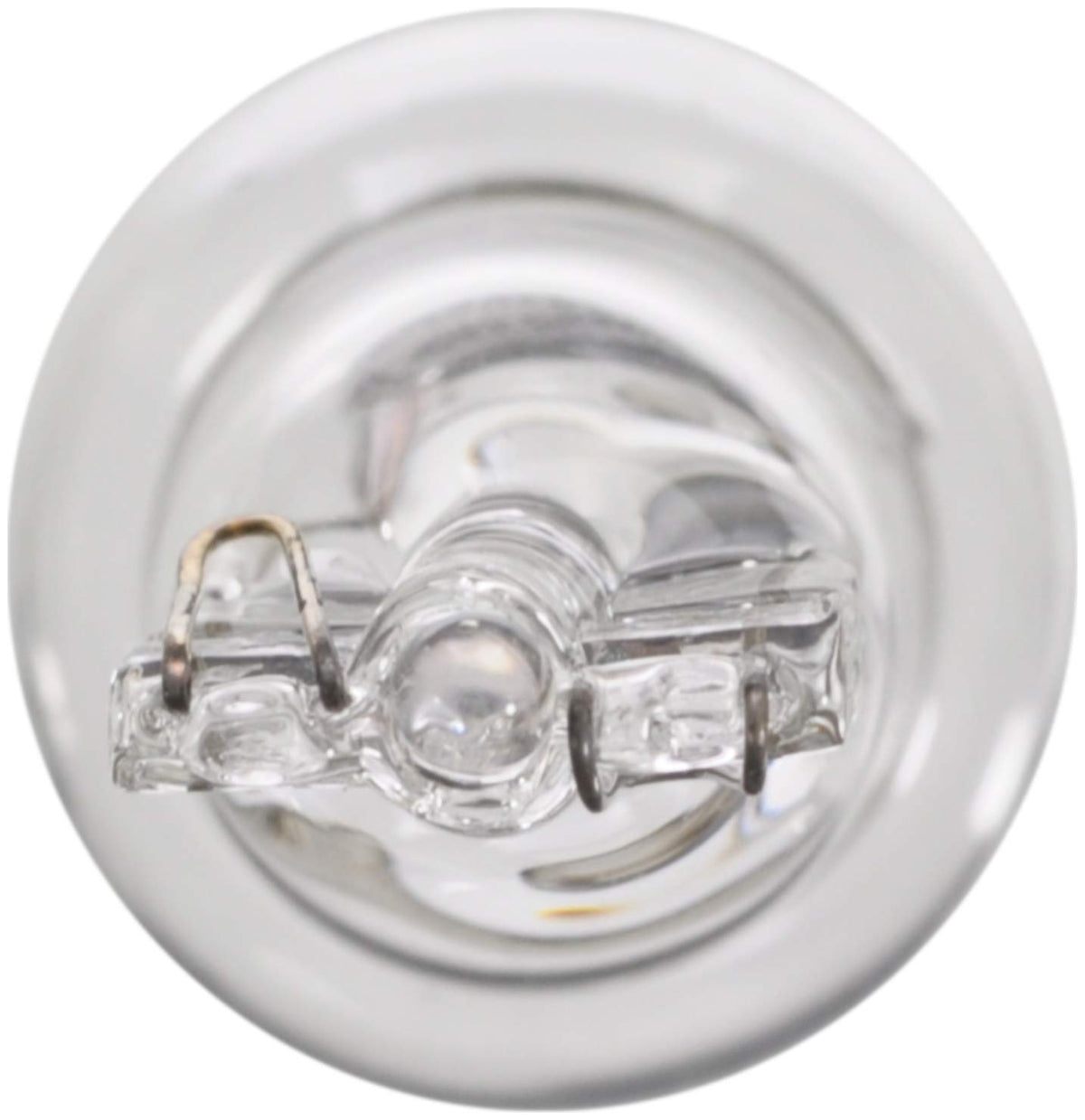 WAGNER BP921 Wagner Lighting BP921 Standard Multi-Purpose Light Bulb Card of 2