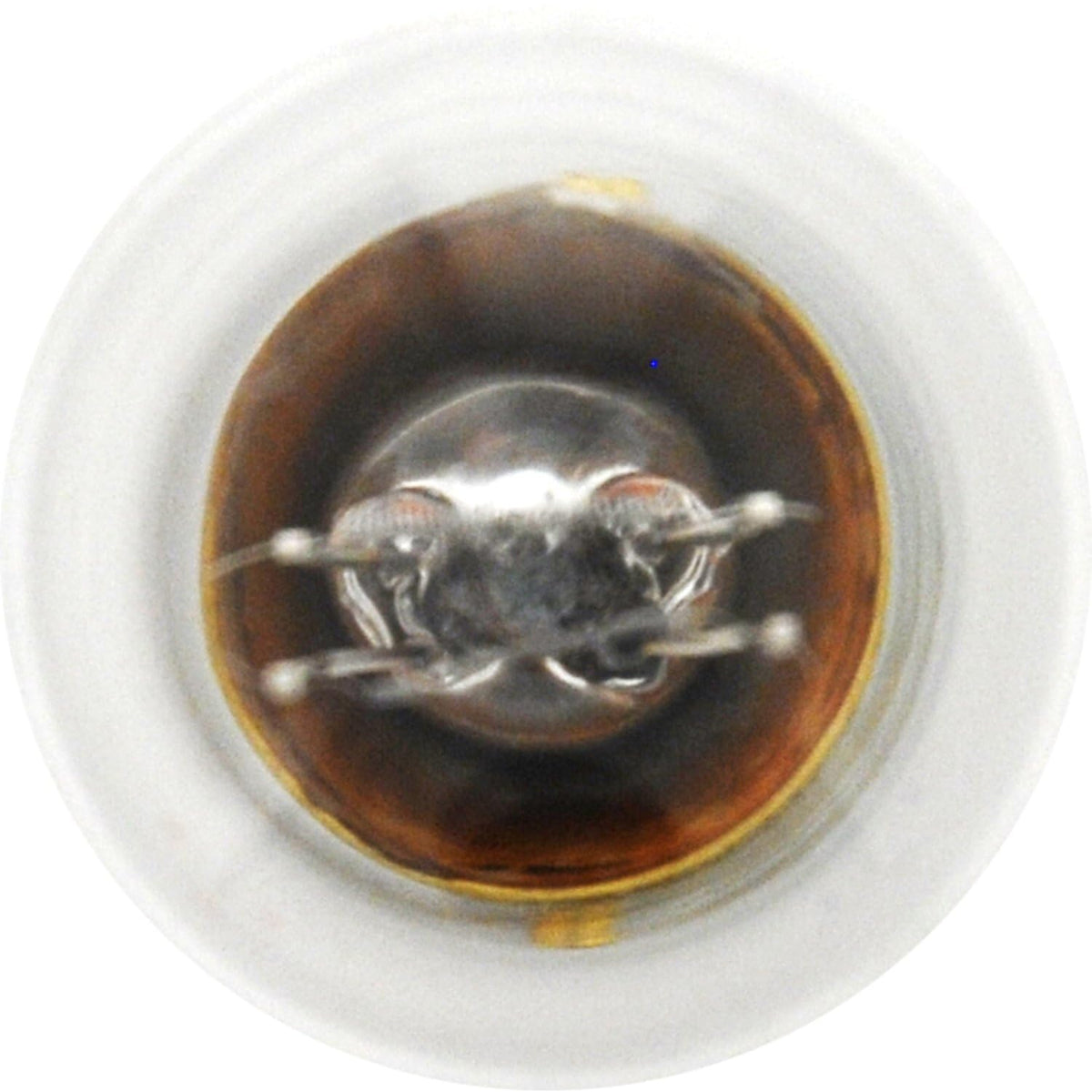 SYLVANIA 2357.BP2 SYLVANIA 2357 Basic Miniature Bulb, (Contains 2 Bulbs)