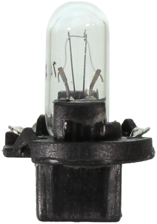 WAGNER PC74 Wagner Lighting PC74 Standard Multi-Purpose Light Bulb Box of 10