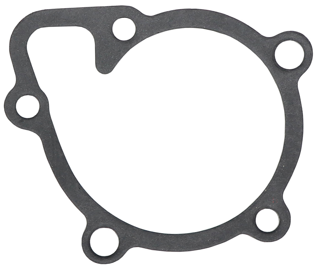 BECK ARNLEY 131-2519 Beck Arnley 131-2519 WATER PUMP