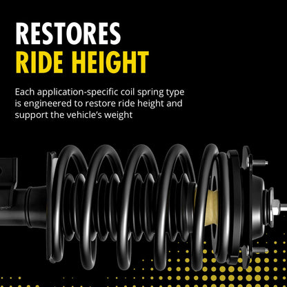 MONROE 171661 Monroe 171661 Suspension Strut and Coil Spring Assembly