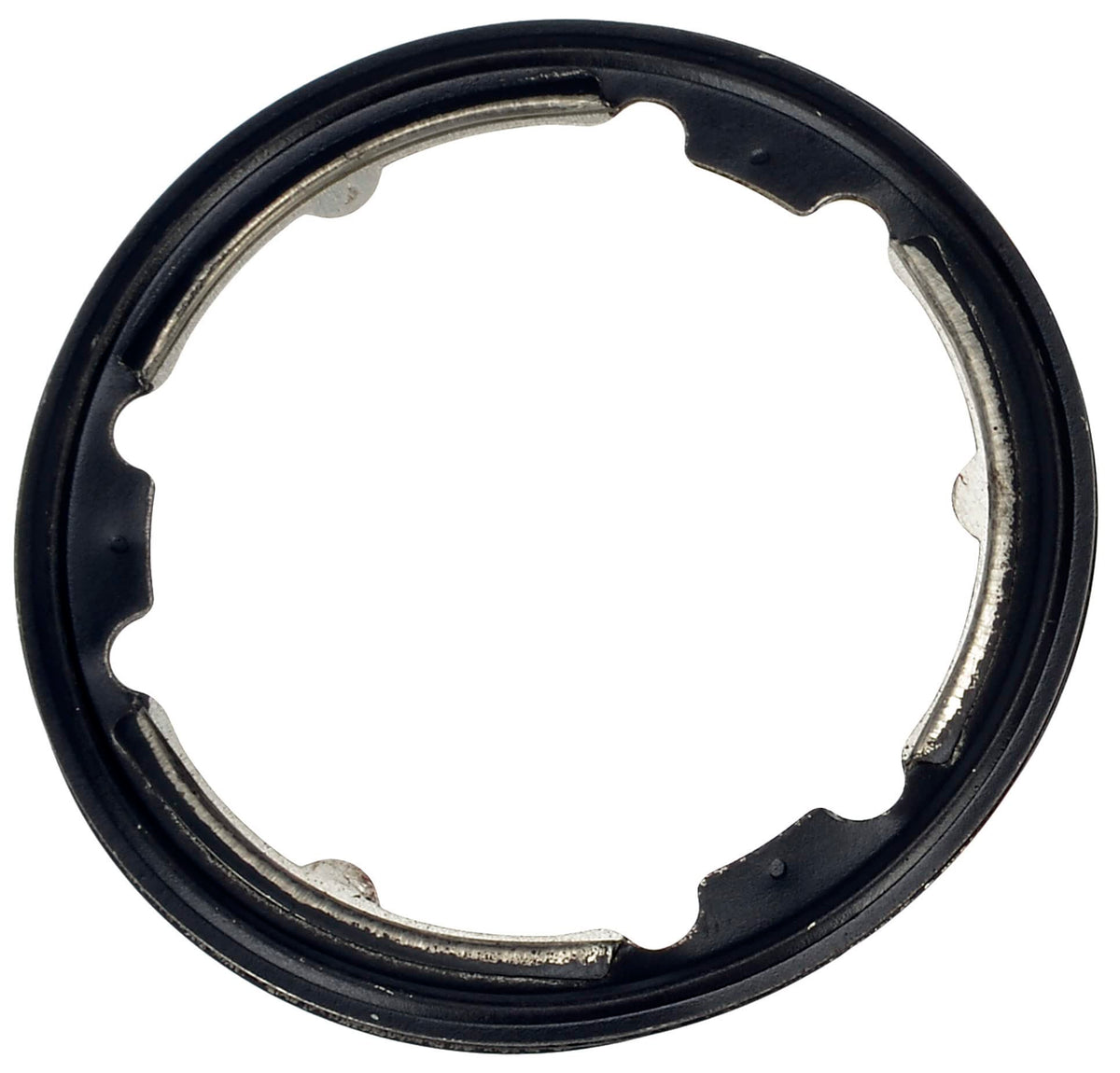 Dorman 904-5155 Exhaust Gas Recirculation (EGR) Cooler Gasket
