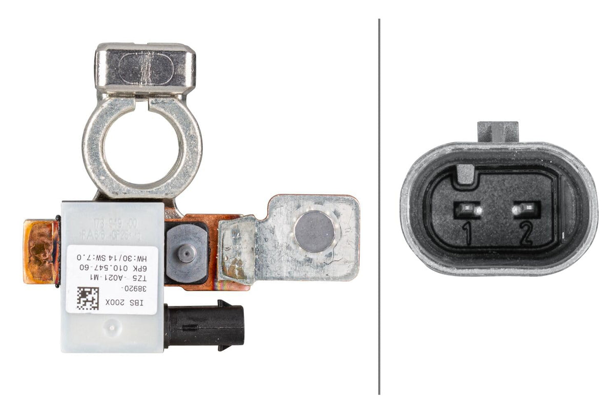 Hella 010557481 Intelligent Battery Sensor (IBS