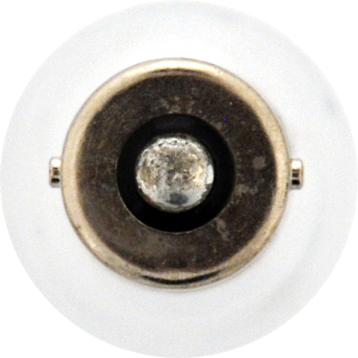 SYLVANIA 1141.BP2 SYLVANIA 1141 Basic Miniature Bulb, (Contains 2 Bulbs)