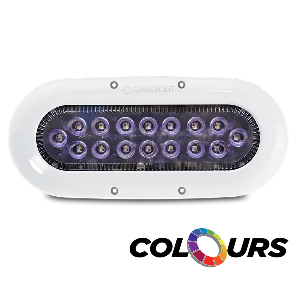 OceanLED 012311C Ocean LED X-Series X16 - Colours LEDs