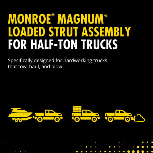 Monroe 153027 Suspension Strut and Coil Spring Assembly