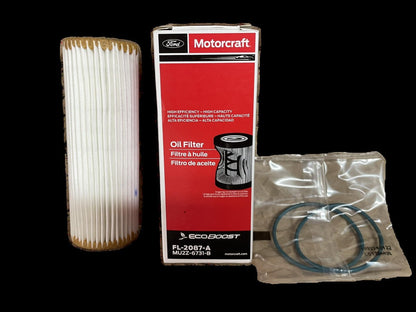 Motorcraft FL2087A Oil Filter (6