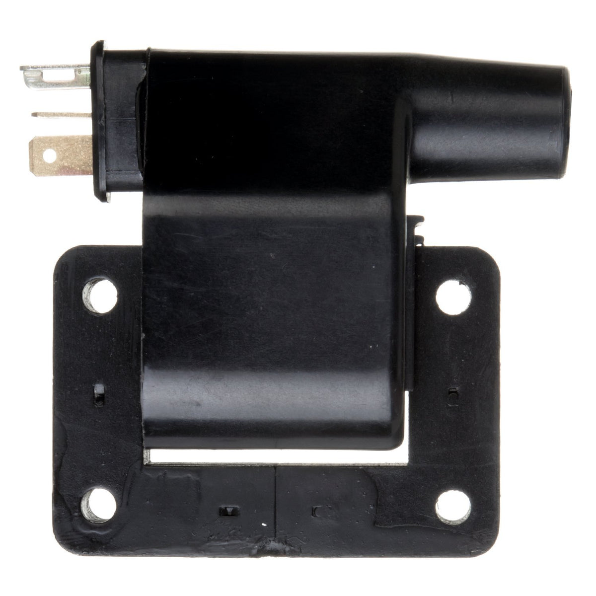 Delphi GN10275 IGNITION COIL