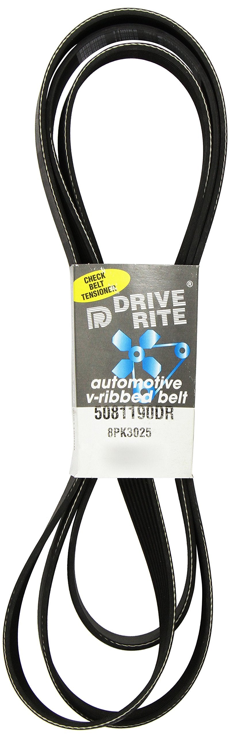 Dayco 5081190DR Serpentine Belt