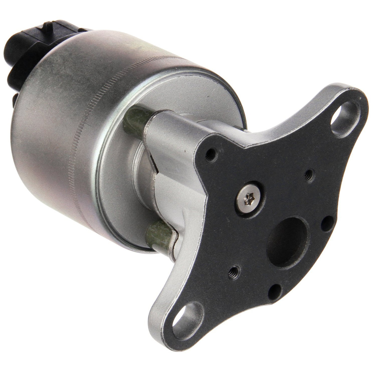 Delphi EG10311 Exhaust Gas Recirculation (EGR) Valve