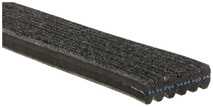 Gates DK060729 DUAL-SIDED V-RIBBED BELT