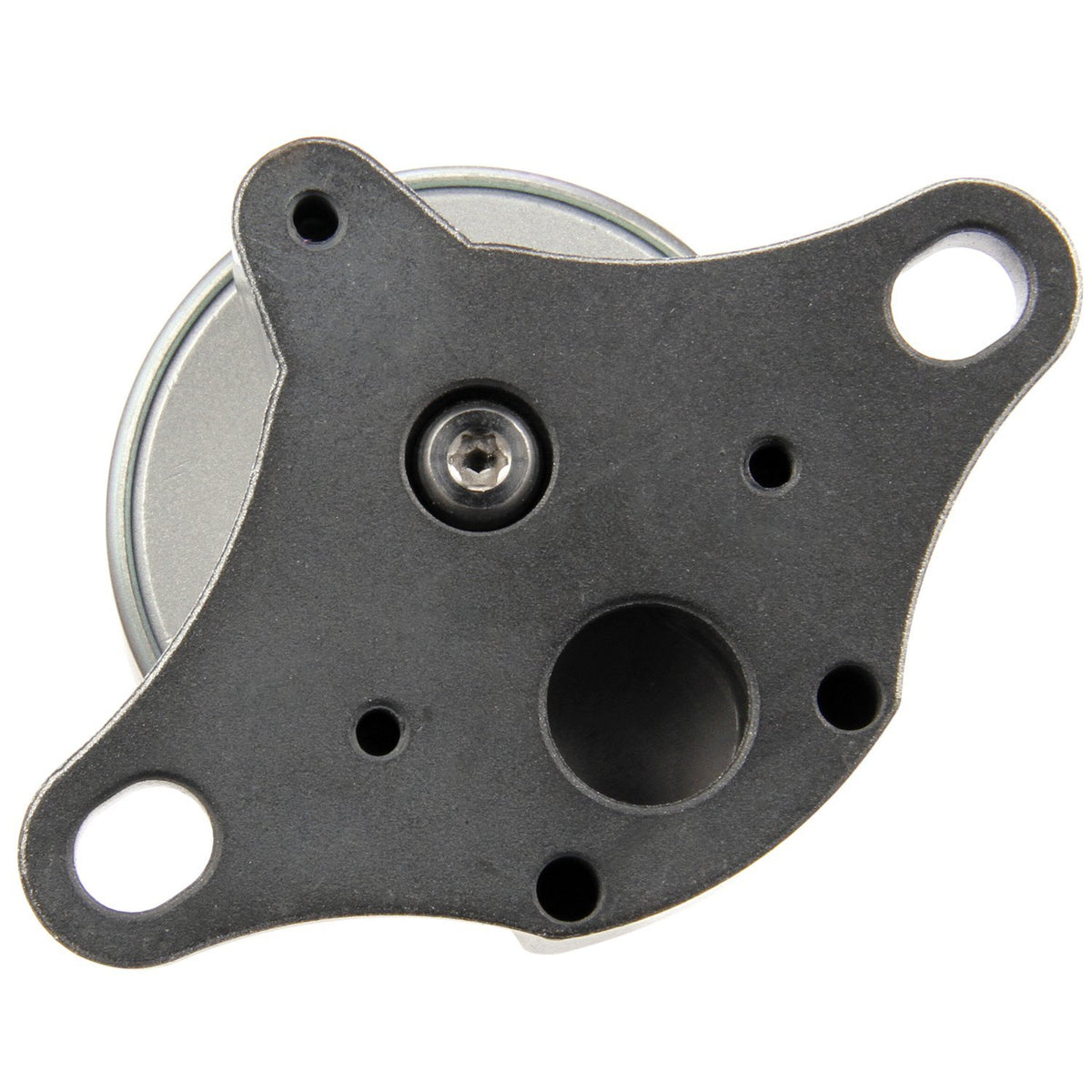 Delphi EG10175 Exhaust Gas Recirculation (EGR) Valve