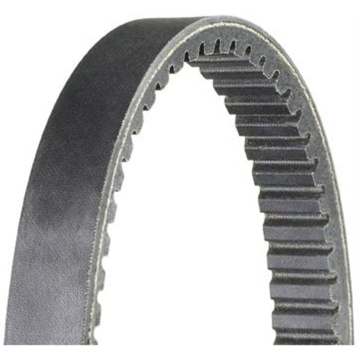 Dayco HP2007 High Performance Outdoor Activity Belt