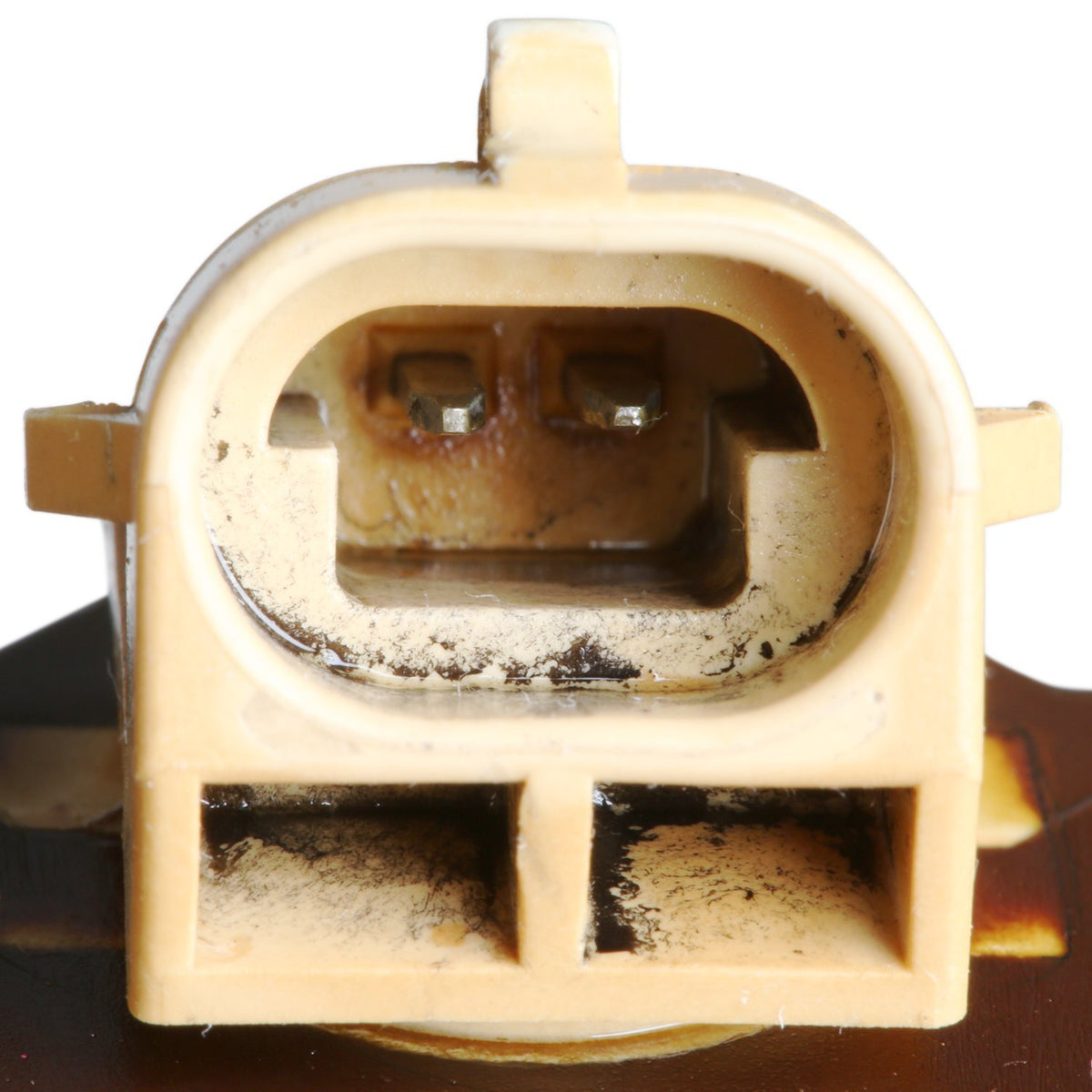 Delphi EX639350 Diesel Injector