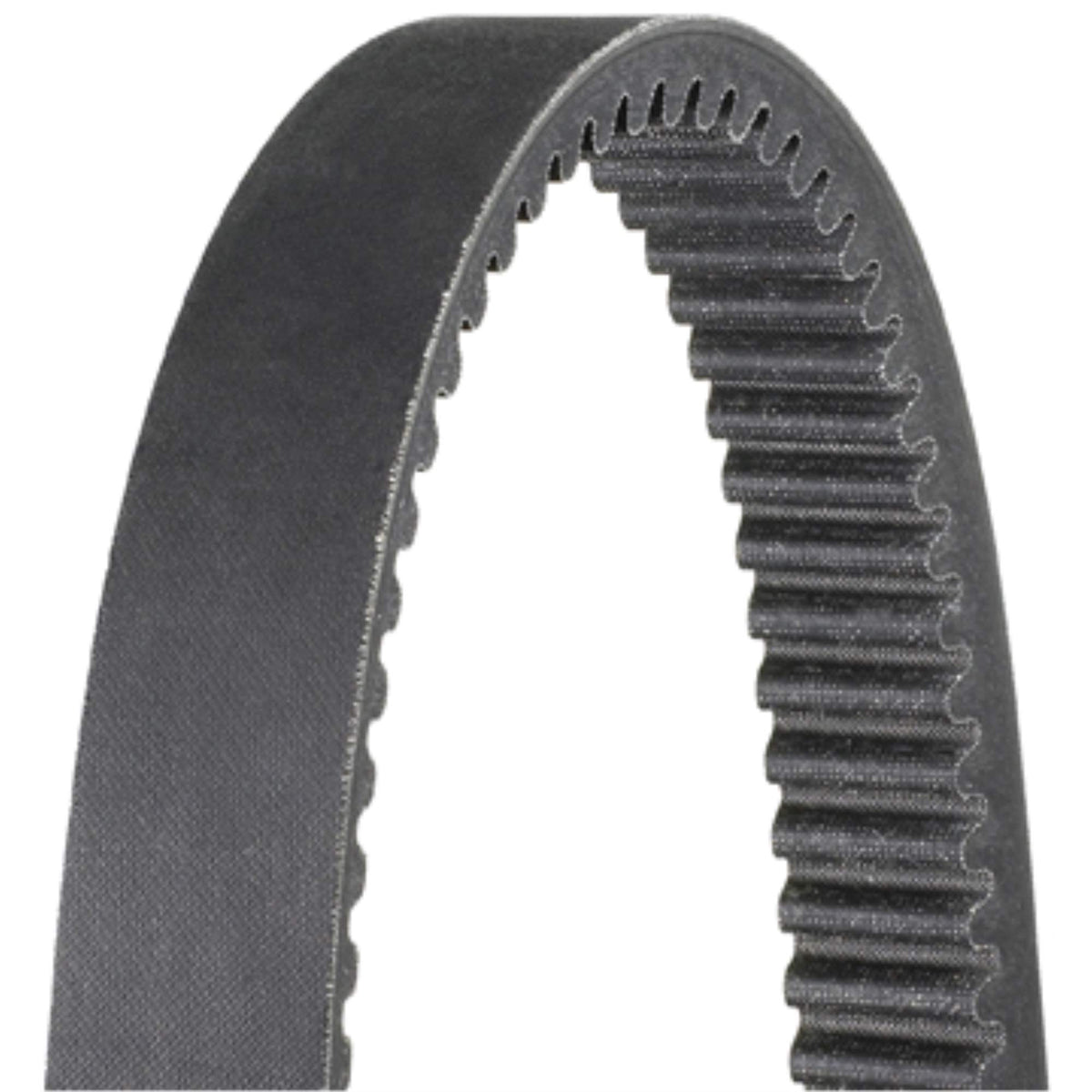 DAYCO XTX5042 Dayco XTX5042 SNOWMOBILE BELTS