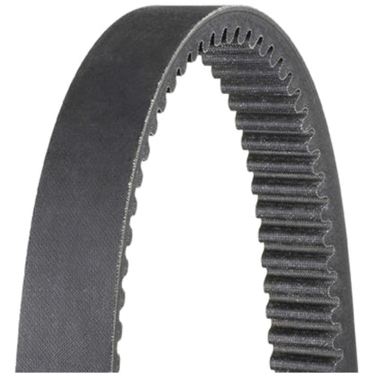 Dayco HP3021 POLARISNOW/YAMAHASNOWL
