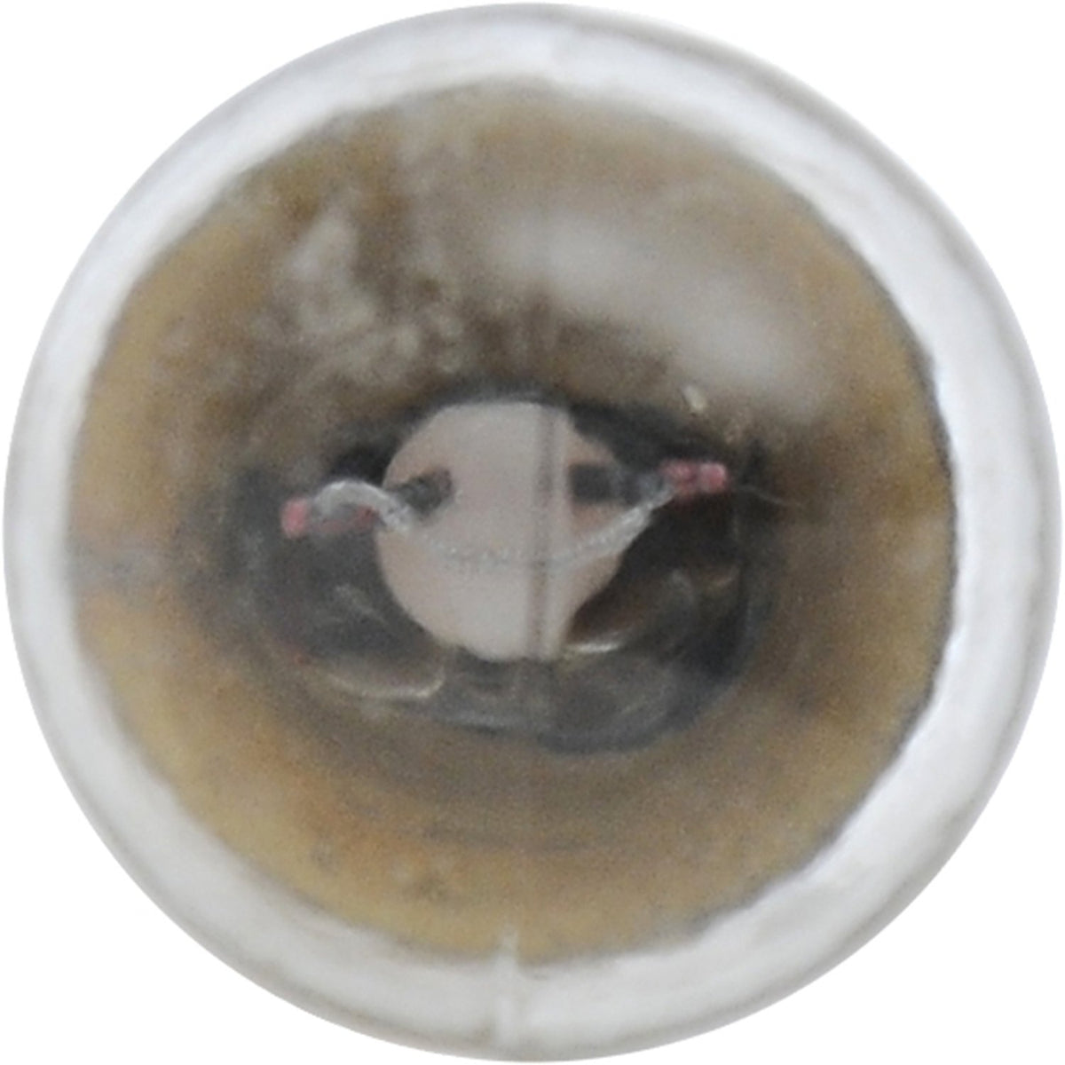 SYLVANIA 5007.BP2 SYLVANIA 5007 Basic Miniature Bulb, (Contains 2 Bulbs)