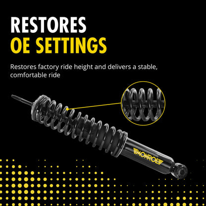 MONROE 90028C1 Monroe 90028C1 Air Spring to Coil Spring Conversion Kit for Ram 1500