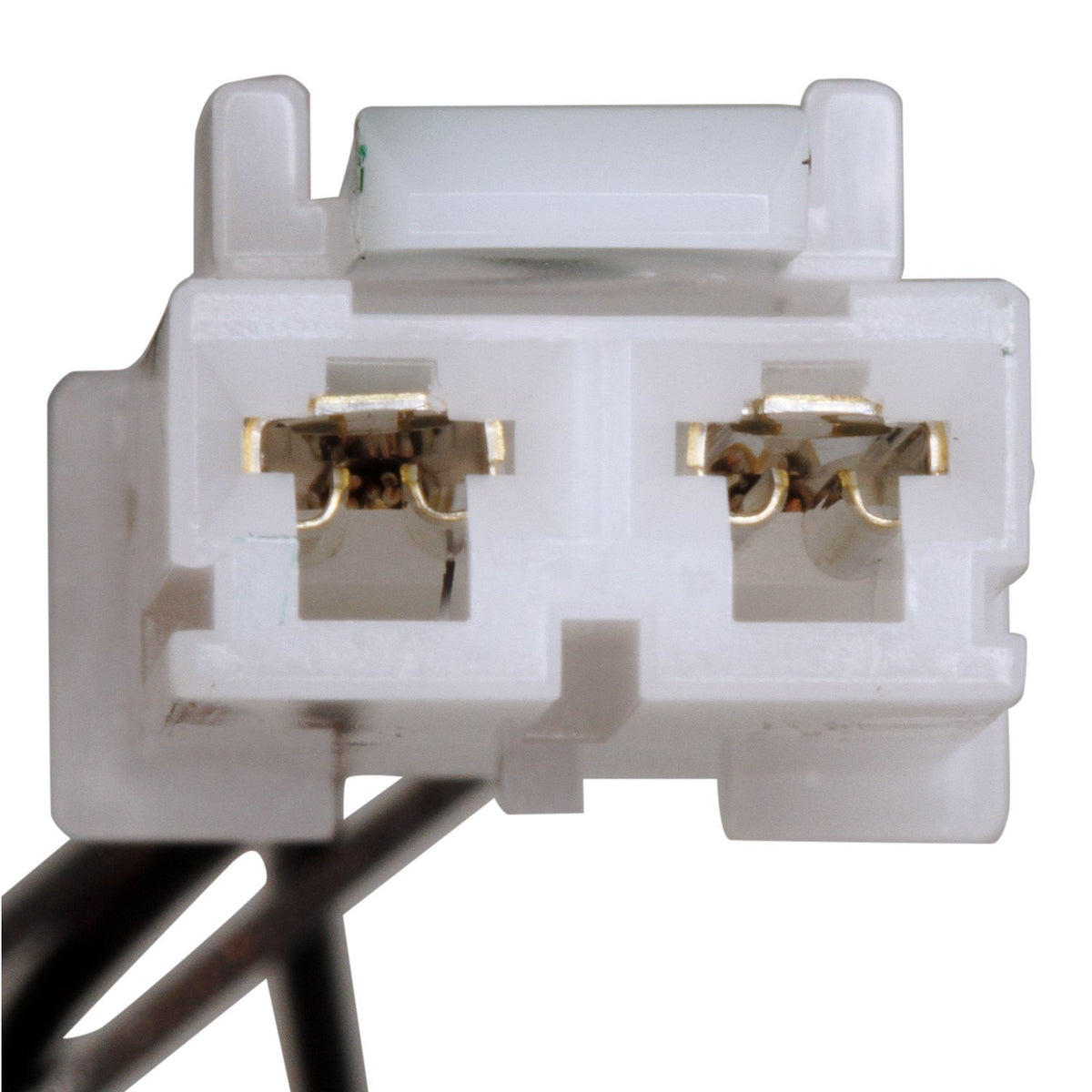 Delphi FG1252 Fuel Pump Module Assembly