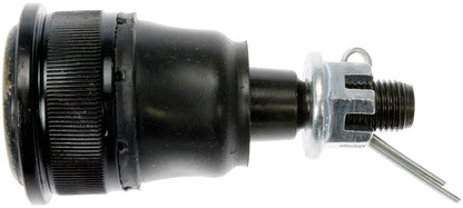 DORMAN BJ59005 Dorman BJ59005 Front Lower Suspension Ball Joint