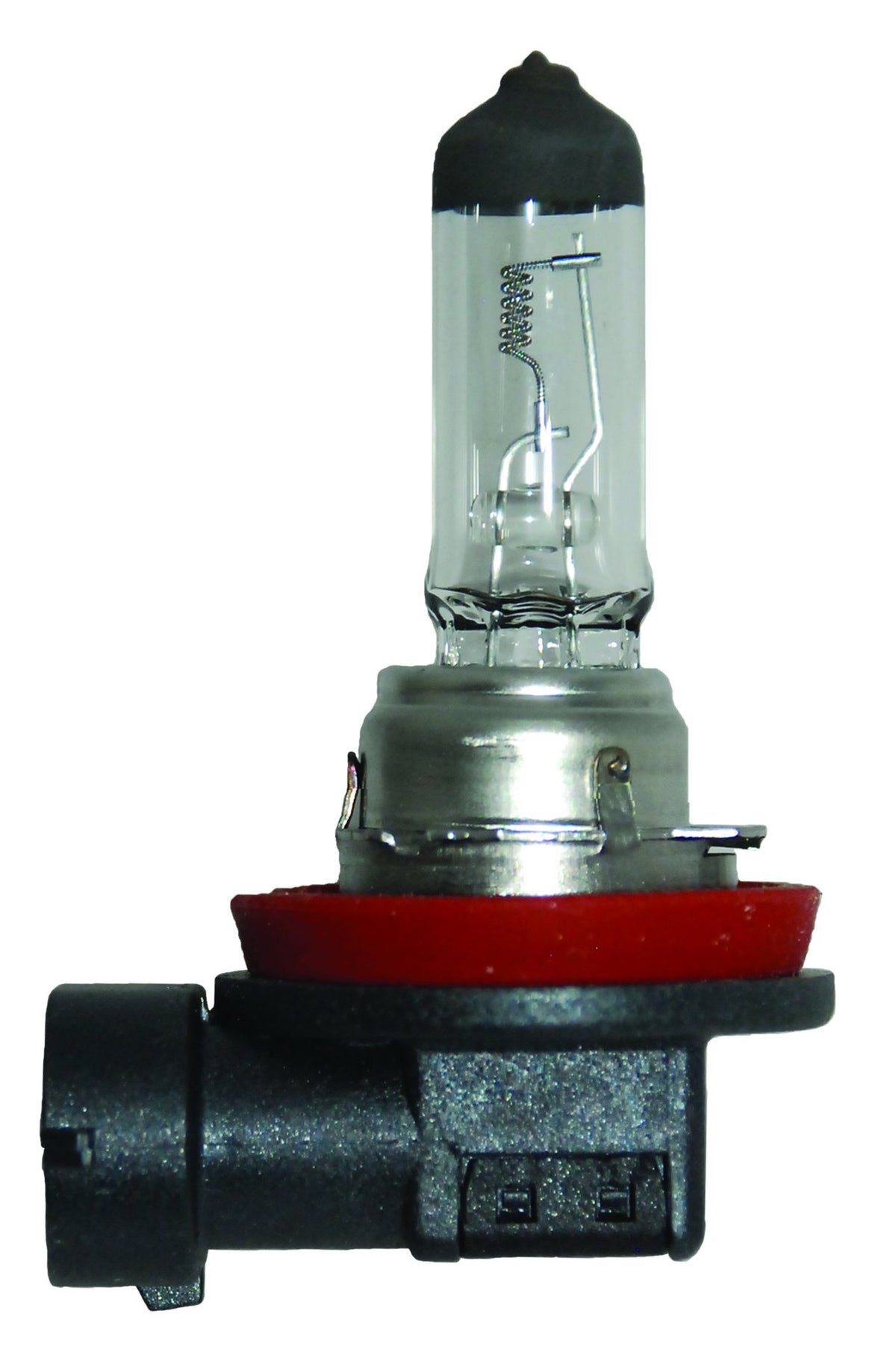 HELLA H11 24V HELLA H11 24V Standard Halogen Bulb, 70W