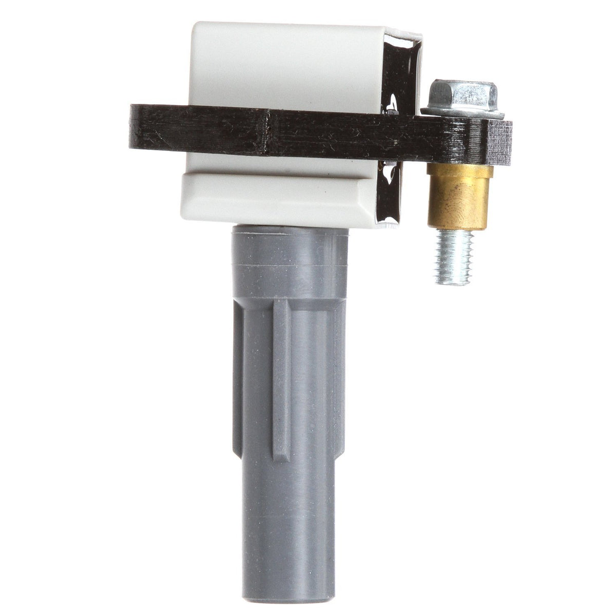 Delphi GN10484 IGNITION COIL
