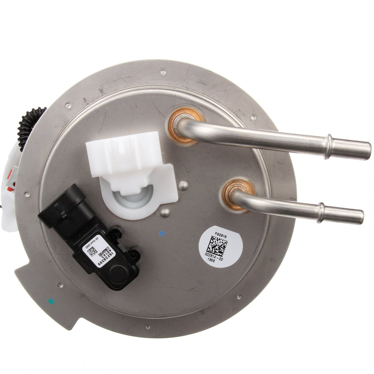 Delphi FG0815 FUEL PUMP MODULE ASSEMBLY