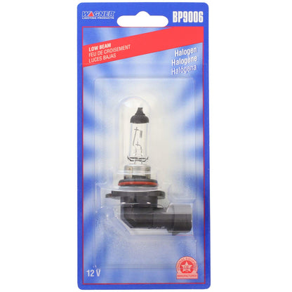 WAGNER BP9006 Wagner Lighting BP9006 Standard Multi-Purpose Light Bulb Card of 1