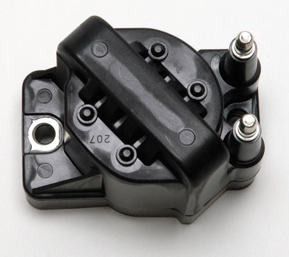 Delphi GN10123 IGNITION COIL