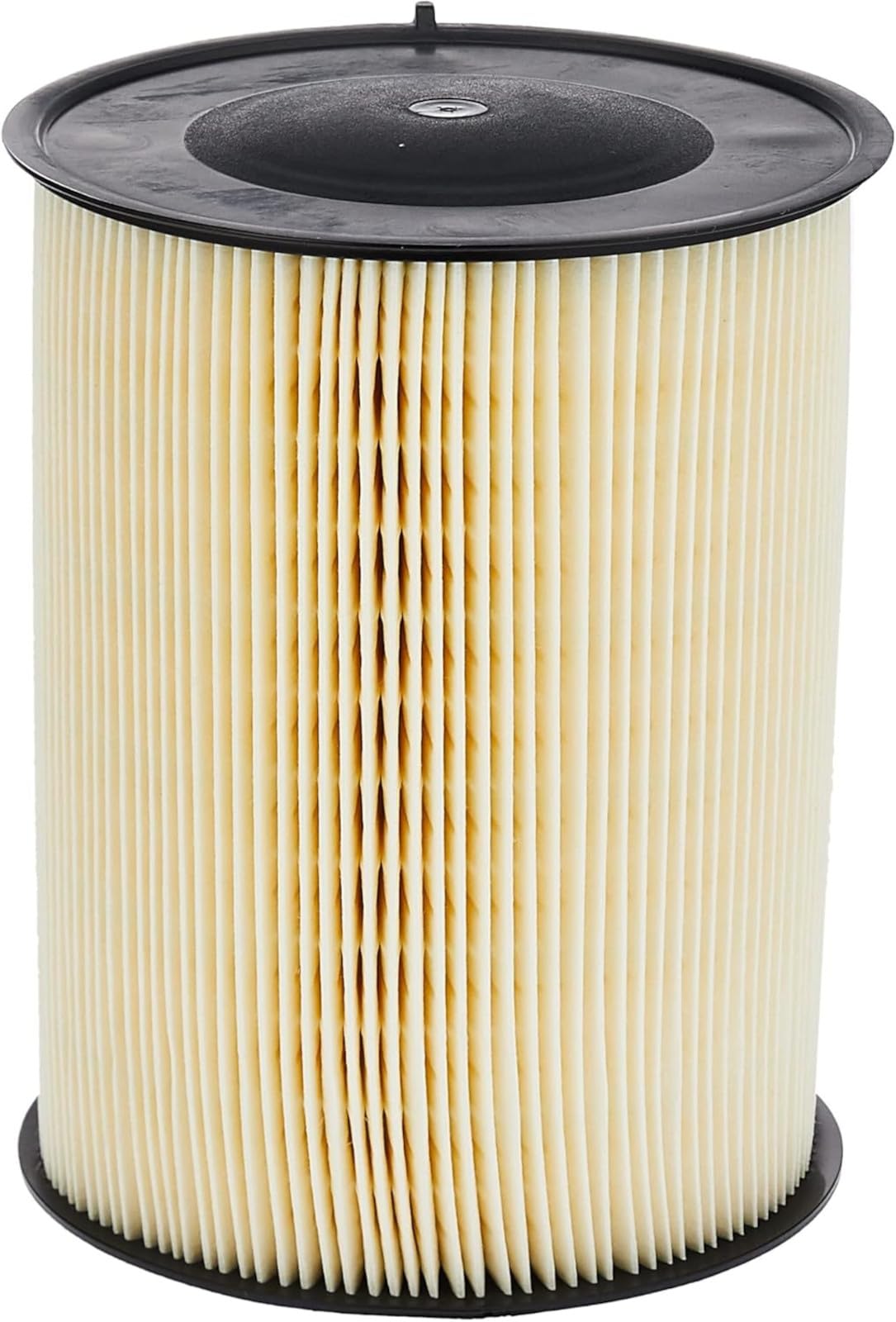 Motorcraft FA1908 Element Asy