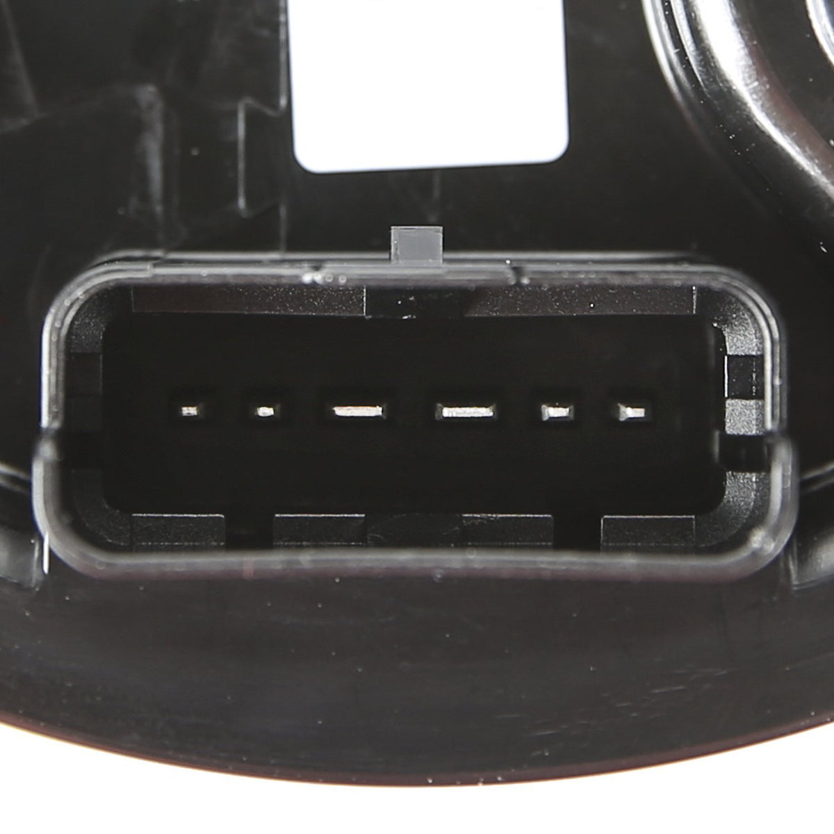 Delphi FG1159 Fuel Pump Module Assembly