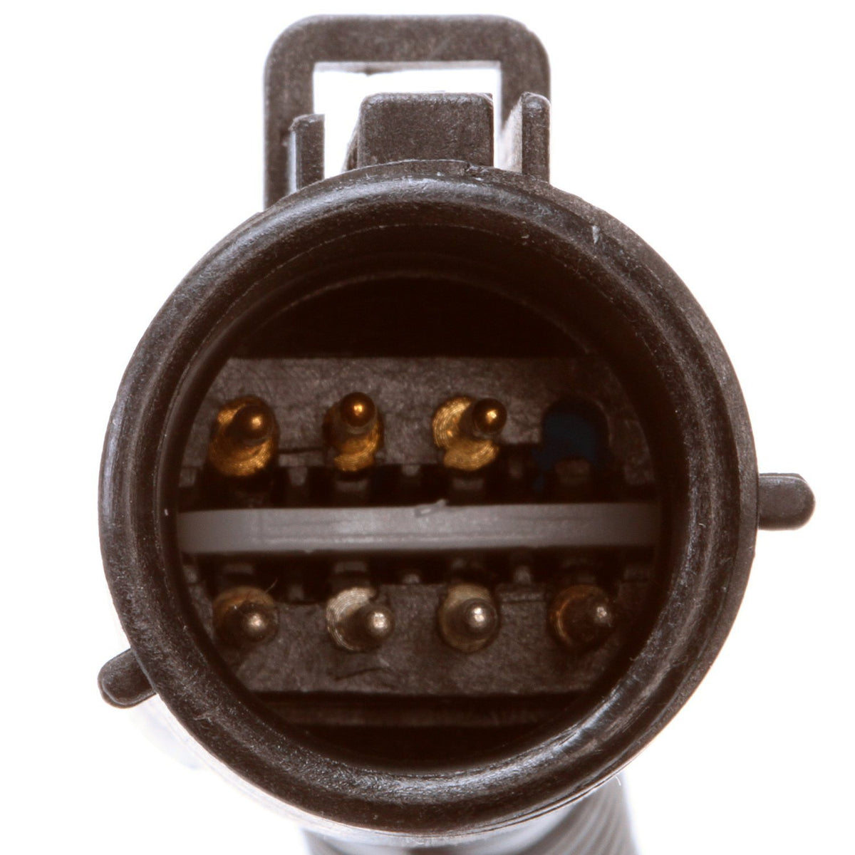 DELPHI HP10135 Delphi HP10135 Fuel Pump Hanger Assembly