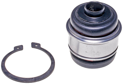 Dorman BJ14615XL Rear Lower Suspension Knuckle Bushing