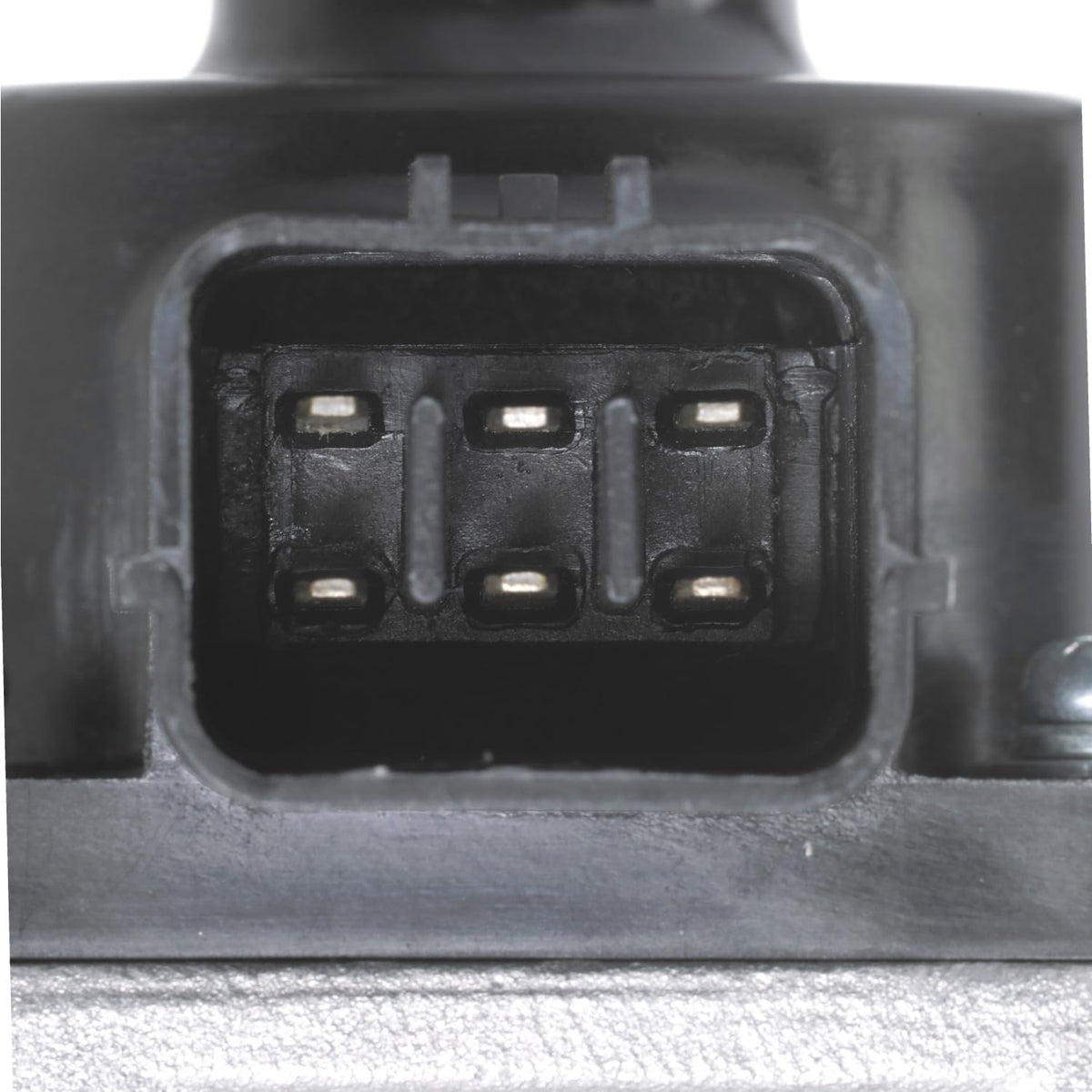 Delphi EG10304 Exhaust Gas Recirculation (EGR) Valve