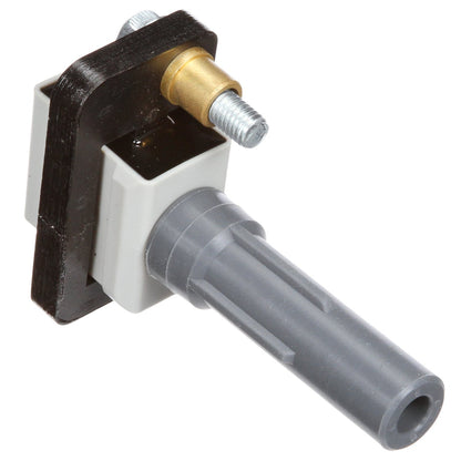 Delphi GN10484 IGNITION COIL