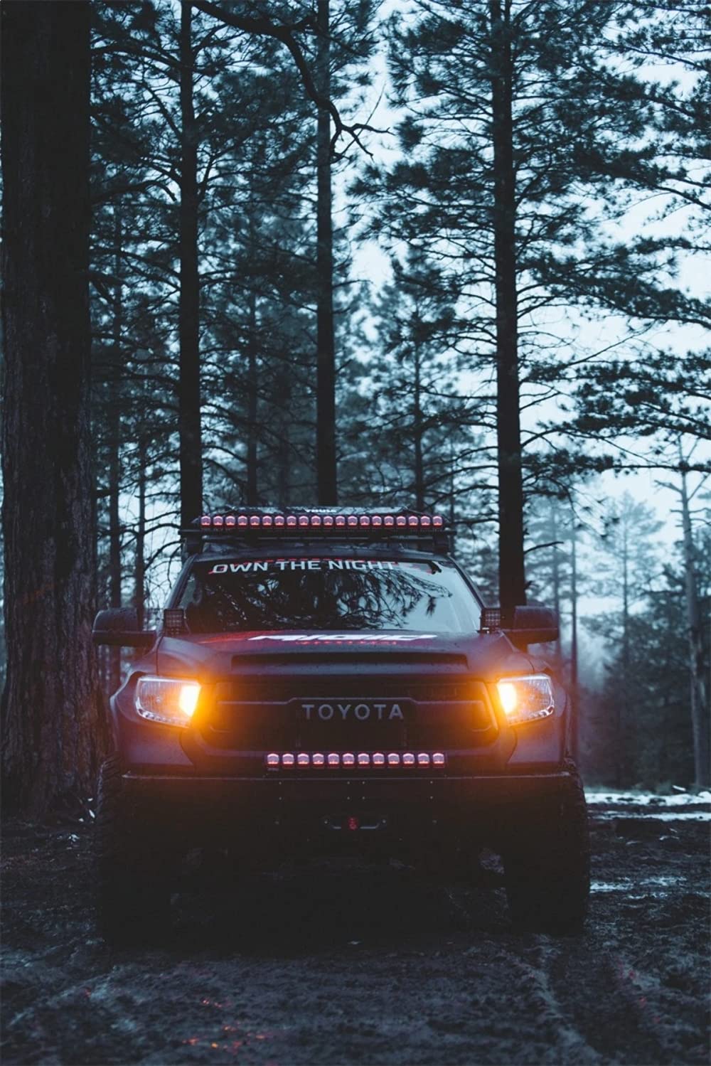 Rigid Industries 250413 Rigid Industries Adapt 50 Inch LED Light with GPS Adapt Mode Lighting and RGBW Backlight