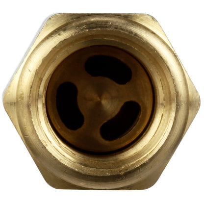 Delphi FA10016 FUEL PUMP CHECK VALVE