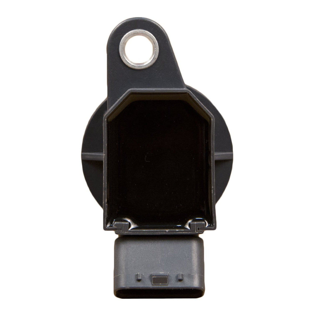 Delphi GN10313 IGNITION COIL