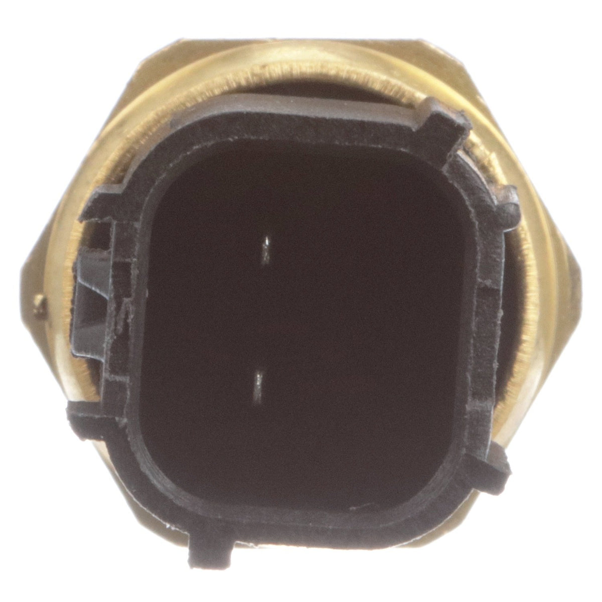 Delphi TS10154 Engine Coolant Temperature Sensor, 1 Pack