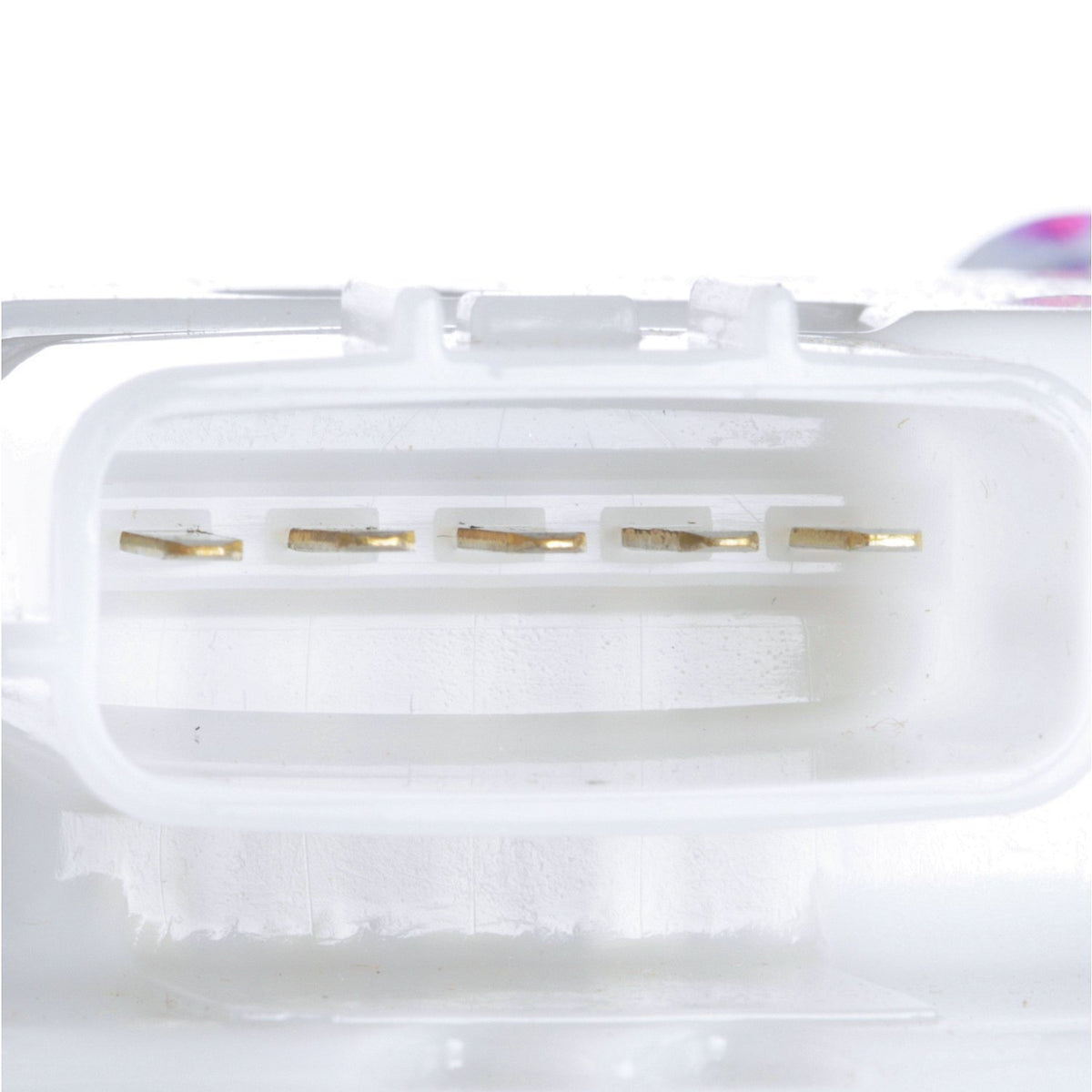 Delphi FG1988 FUEL PUMP MODULE ASSEMBLY