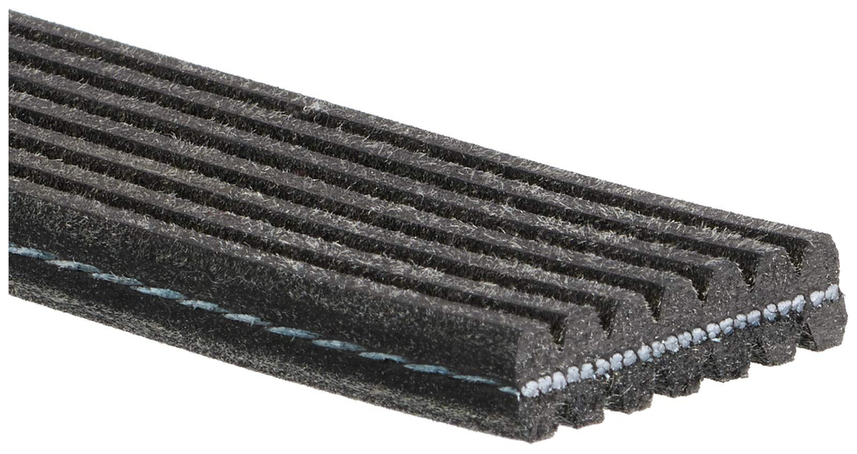 Gates DK070536 DUAL-SIDED V-RIBBED BELT