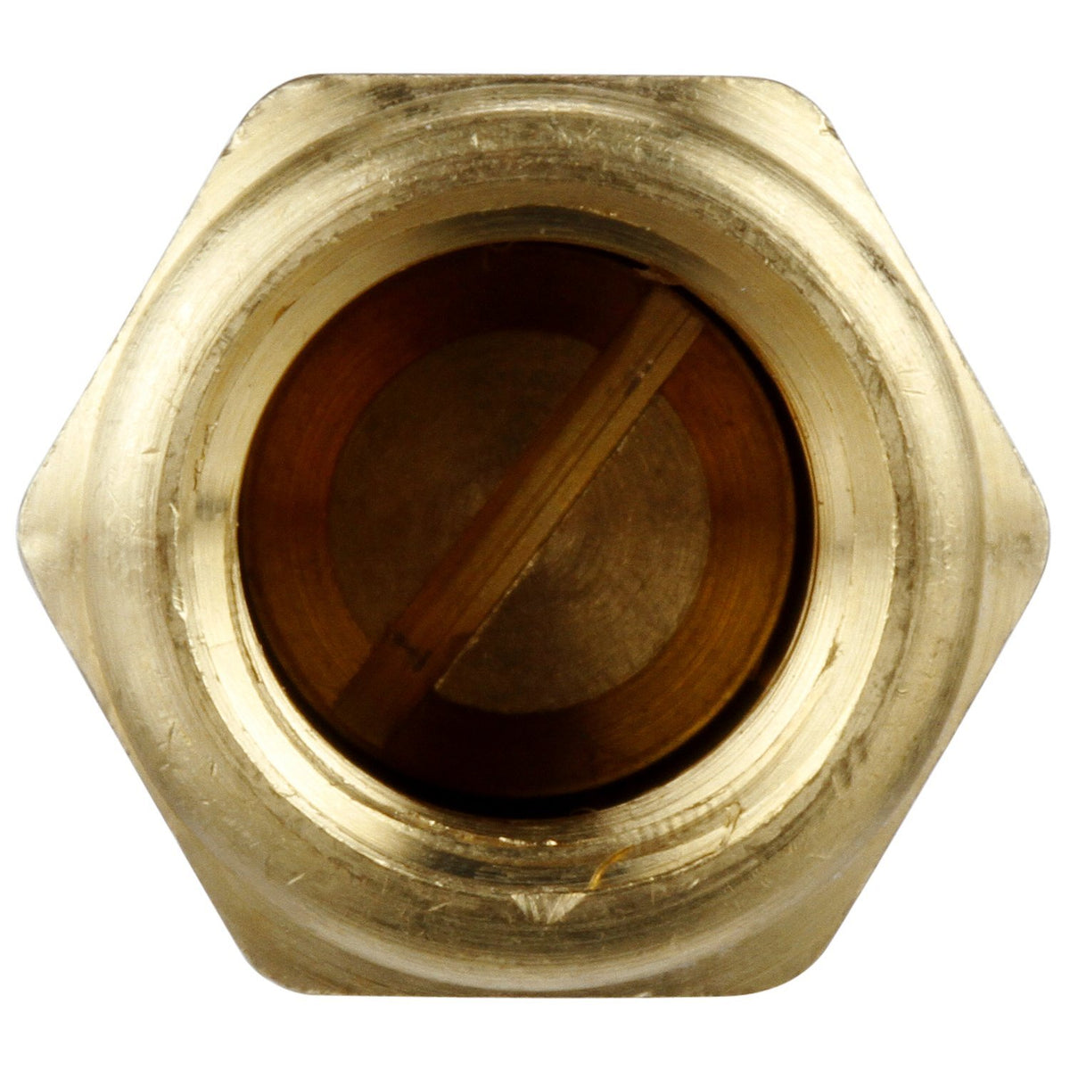 Delphi FA10016 FUEL PUMP CHECK VALVE